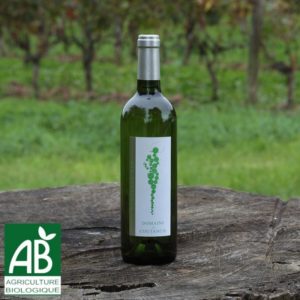 Vin blanc Sec 2018 de Dordogne